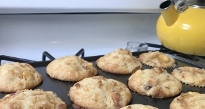 Beth's Peach-Nectarine Muffins