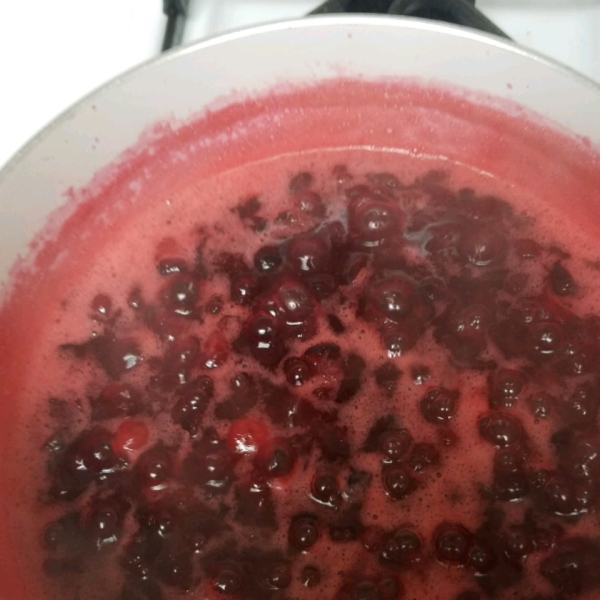 Cranberry Sauce I