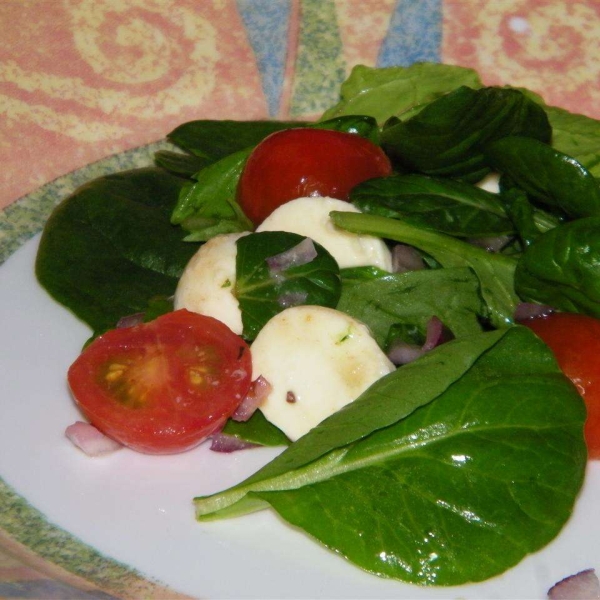 Tomato and Bocconcini Salad