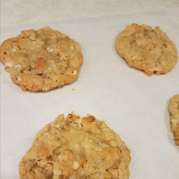 Grandmother's Oatmeal Coconut Cookies