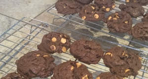 Great Chocolate Chocolate Chip Cookies