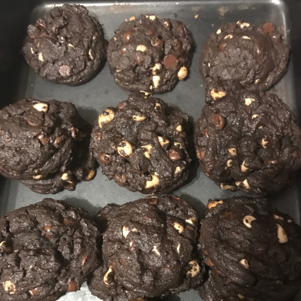 Great Chocolate Chocolate Chip Cookies