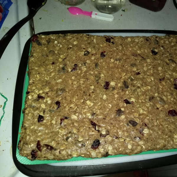 No-Bake Protein Bars