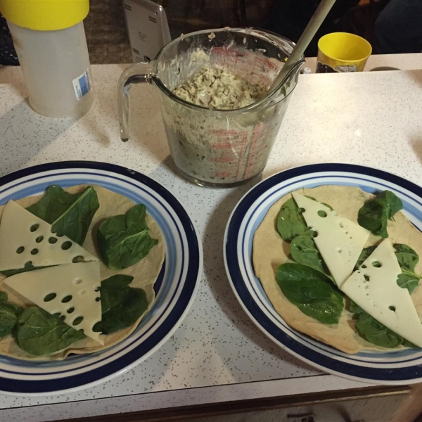 Zingy Pesto Tuna Wrap