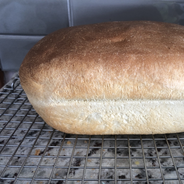 White Bread For The Bread Machine