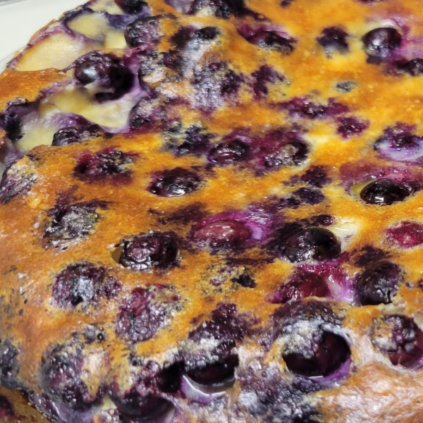 Blueberry Custard