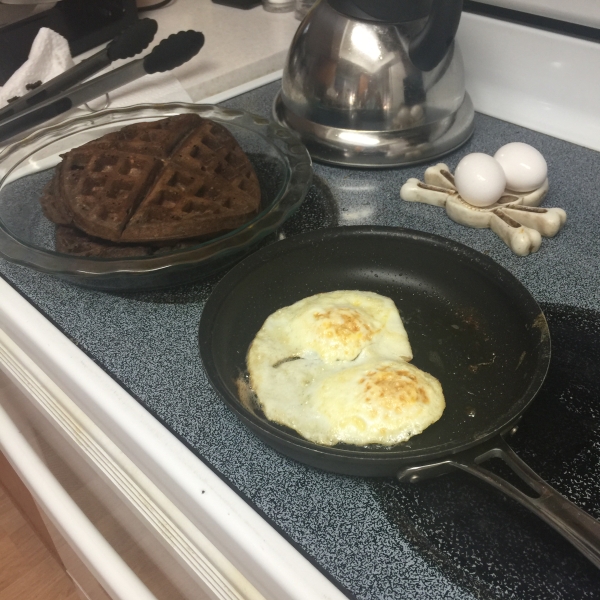 Carlie's Chocolate Oatmeal Waffles