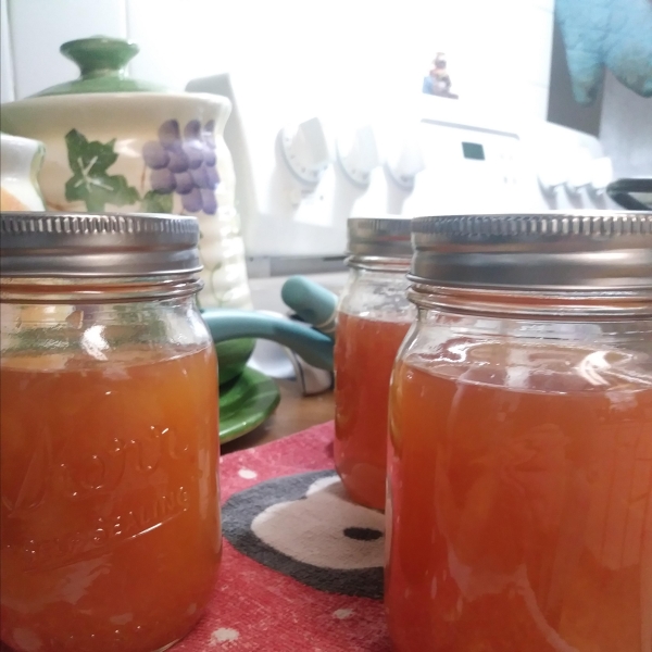 Honey Orange Marmalade