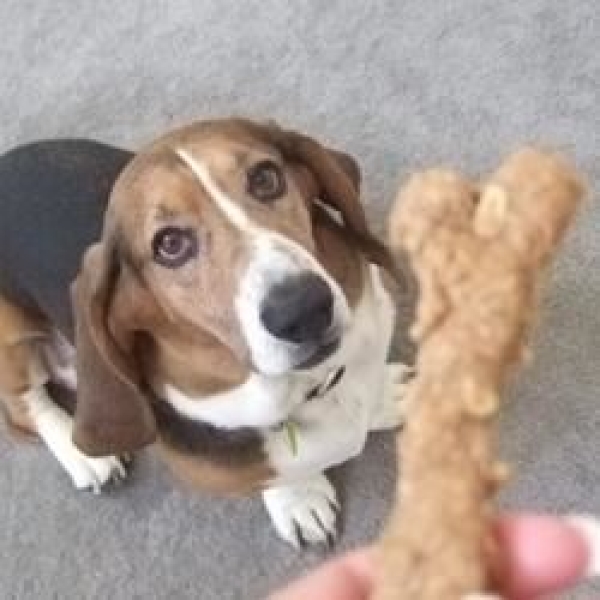 Peanut Butter Dog Biscuits