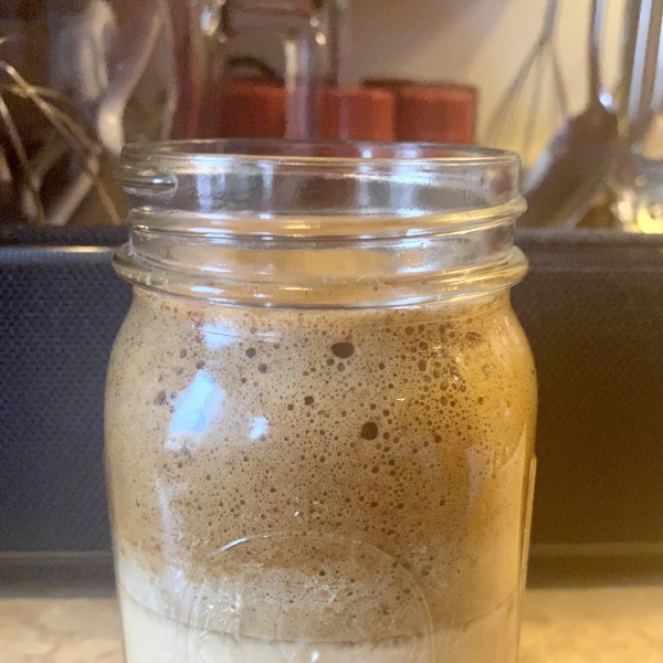Pumpkin Spice Whipped Coffee