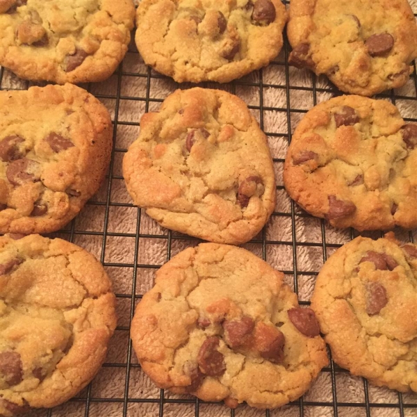 Pudding Chocolate Chippers