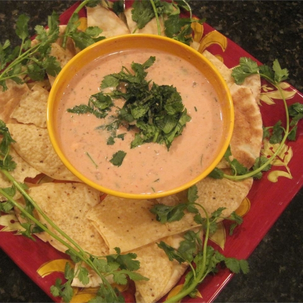 Big Game Salsa Dip