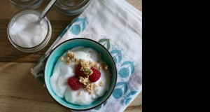 Homemade Vegan Coconut Yogurt