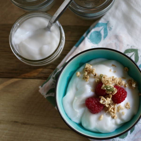 Homemade Vegan Coconut Yogurt