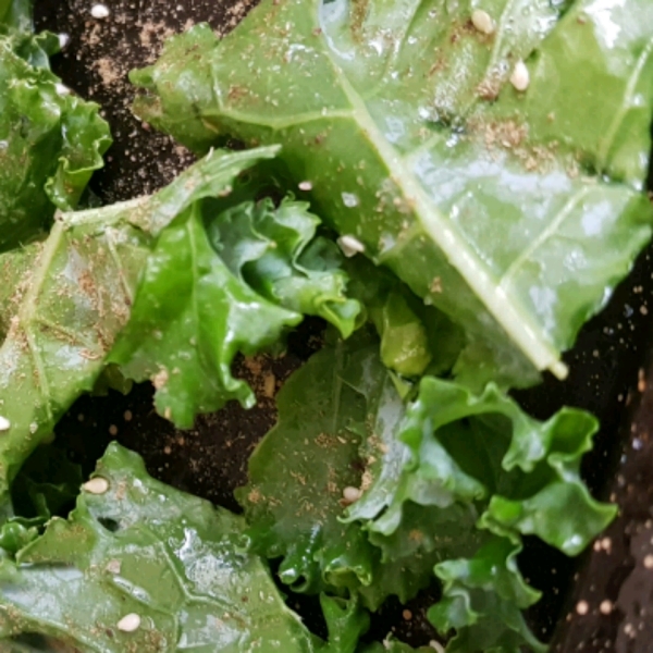 Paleo Kale Chips