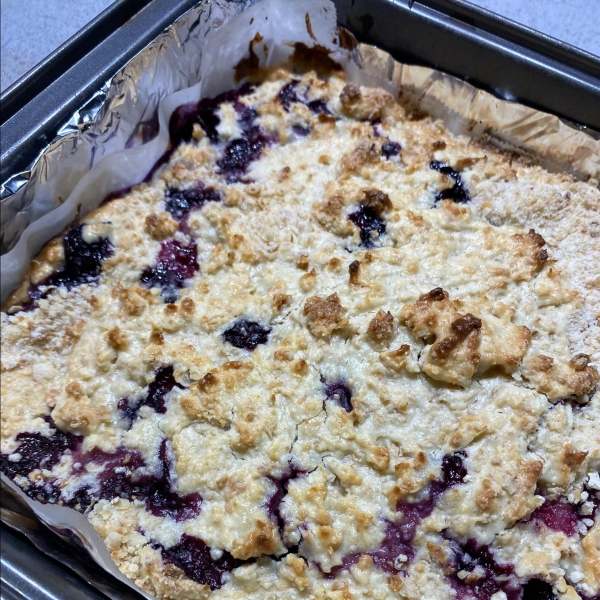 Blueberry Oat Dream Bars