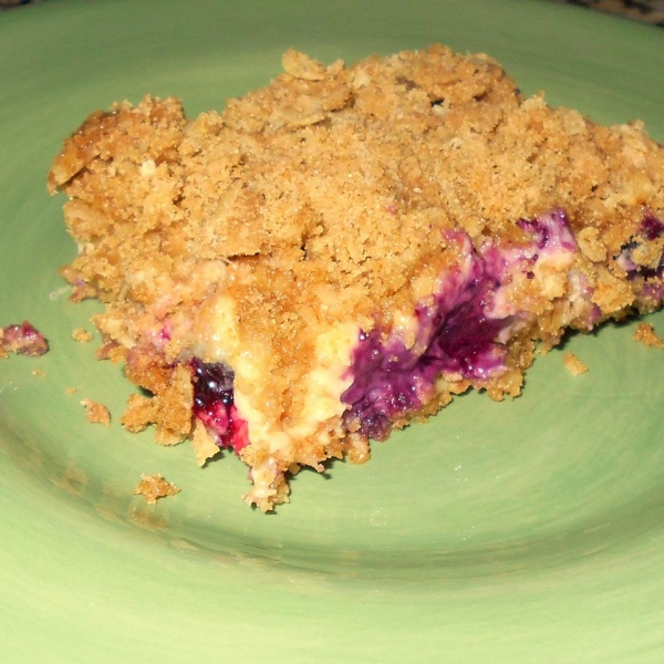 Blueberry Oat Dream Bars