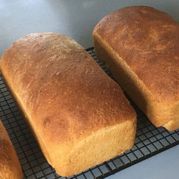 Swedish Rye Bread I