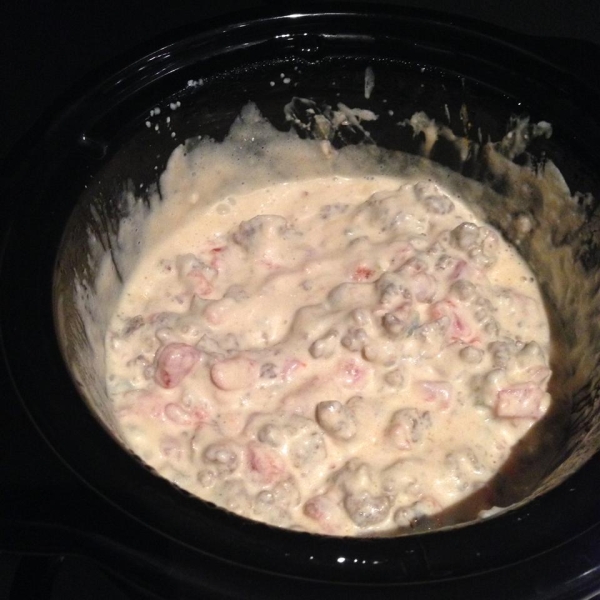 Emily's Easy Sausage and Spicy Tomato Dip