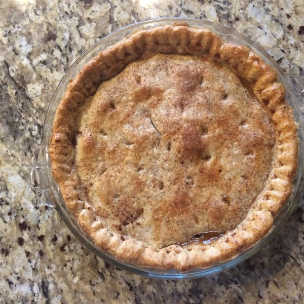 Simple Raisin Pie