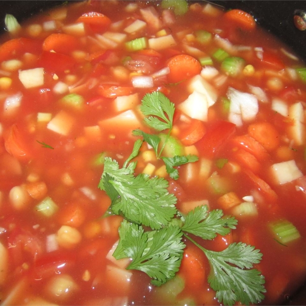 Hearty Vegetable Soup