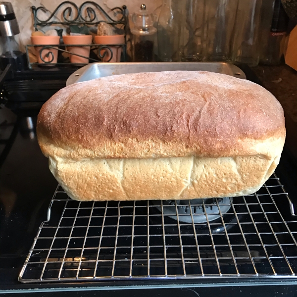 Buttermilk Honey Wheat Bread