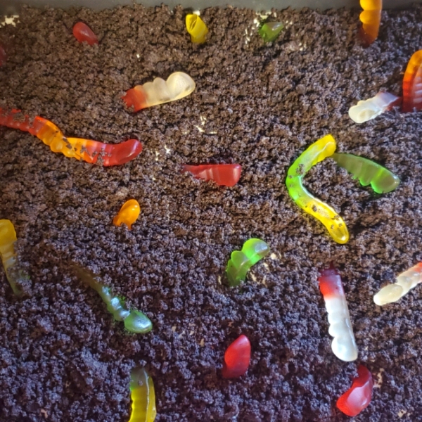 Dirt Pudding