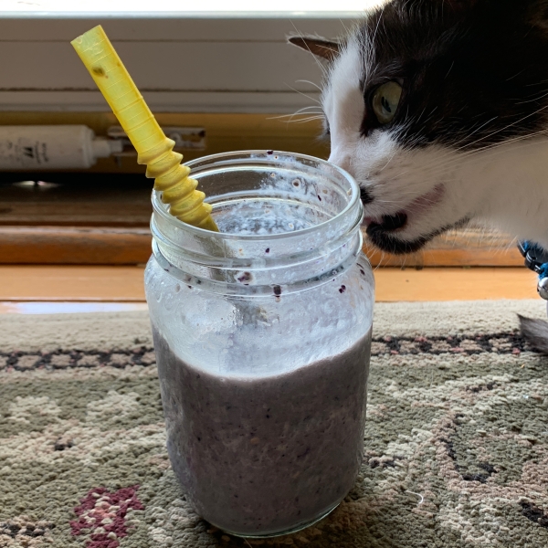 Blueberry Banana Oatmeal Smoothie