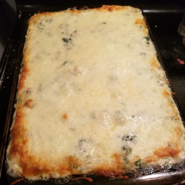 Chicken Lasagna with White Sauce