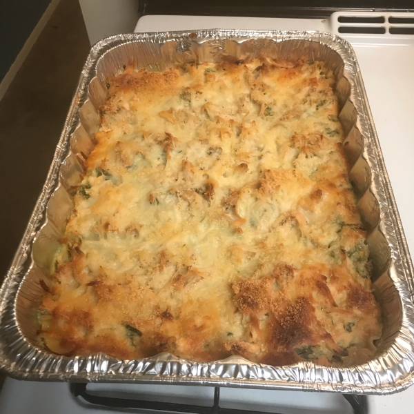 Chicken Lasagna with White Sauce