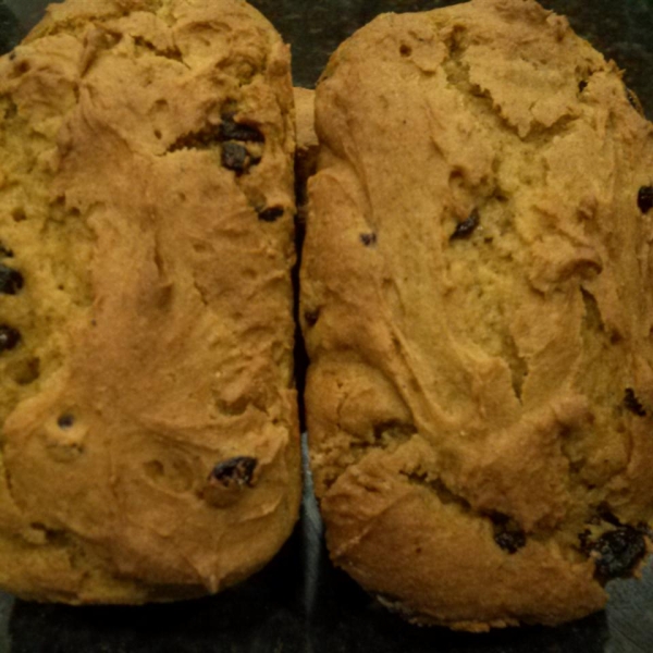 Raisin Pumpkin Bread Gluten Free