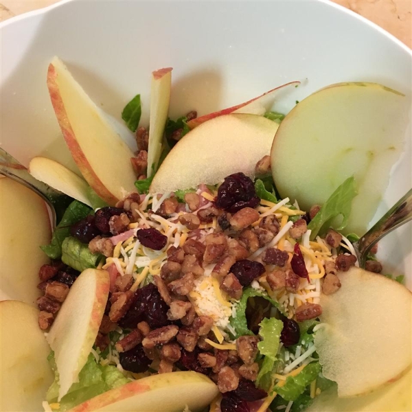 Apple Walnut Salad with Cranberry Vinaigrette