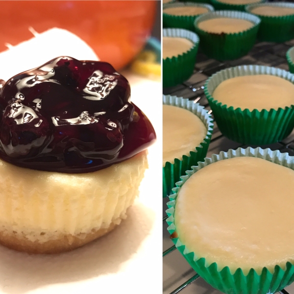 Ginny's Mini Cheesecakes