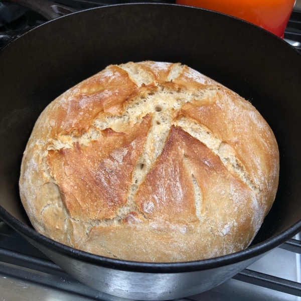 No Knead Beer Bread