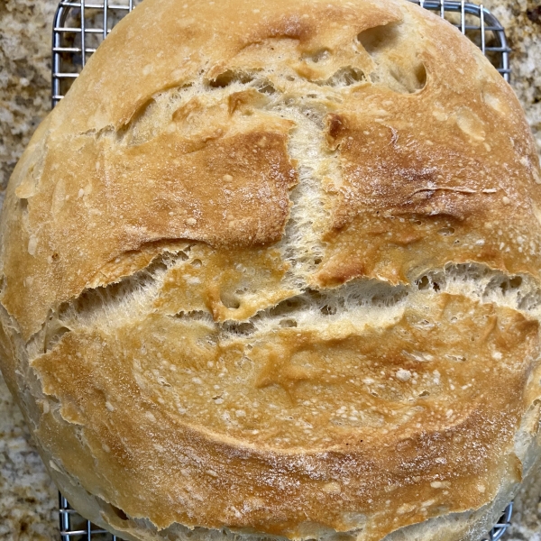 No Knead Beer Bread