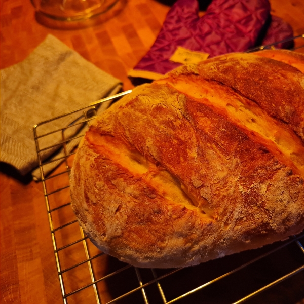 No Knead Beer Bread