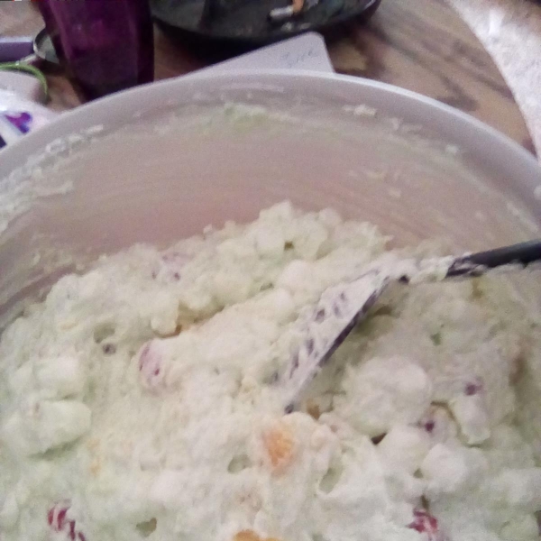 Family Tradition Watergate Salad