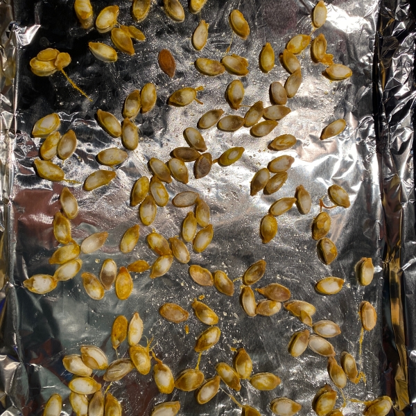 Roasted Winter Squash Seeds