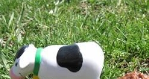 Cow Patty Cookies