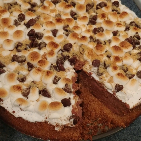 PHILLY S'more Cheesecake