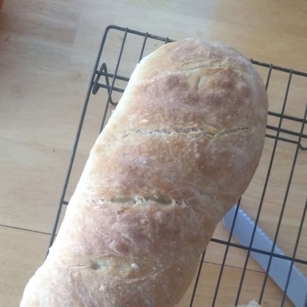No-Knead Country Bread