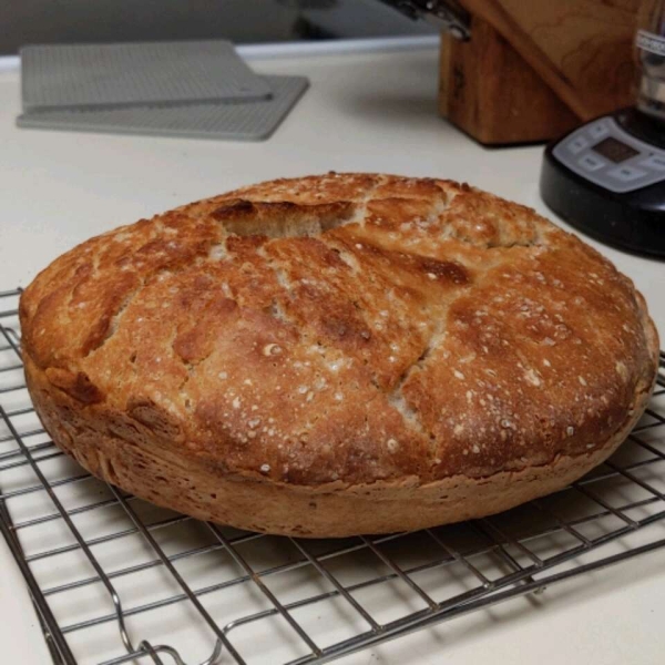 No-Knead Country Bread