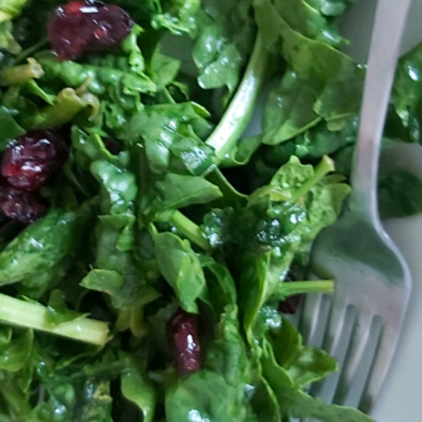 Jamie's Cranberry Spinach Salad