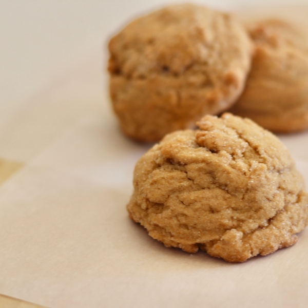 Honey and Molasses Gingersnaps