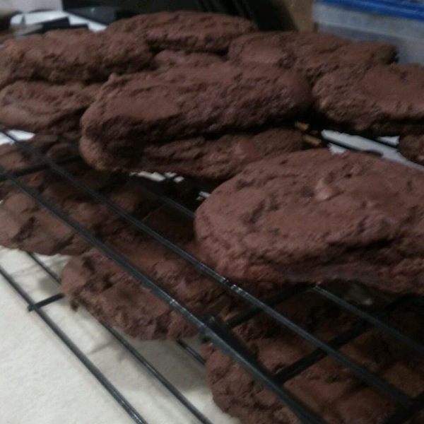 Hazelnut Cocoa Cookies