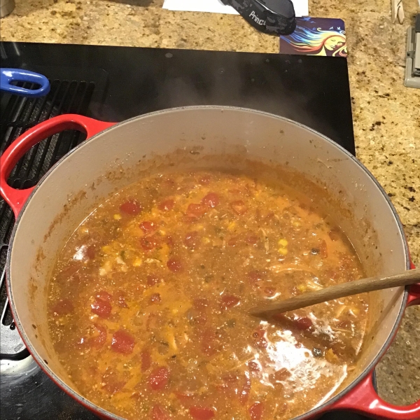 Tex-Mex Turkey Soup