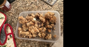 Paleo Coconut Dark Chocolate Chip Cookies