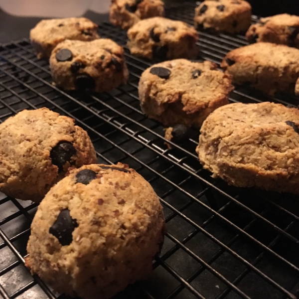 Paleo Coconut Dark Chocolate Chip Cookies