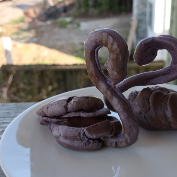 Chocolate Cream Puff Swans