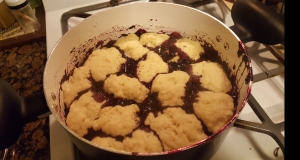 Stove Top Blueberry Grunt